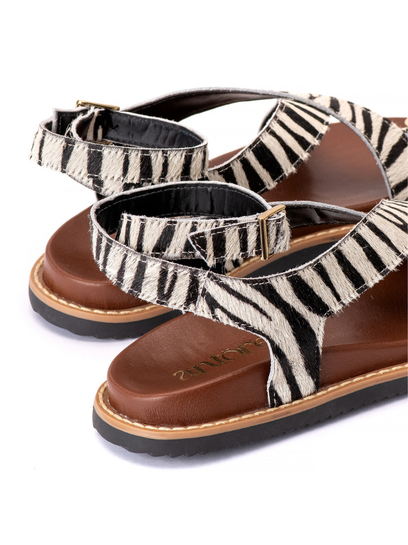 EMMA ZEBRA