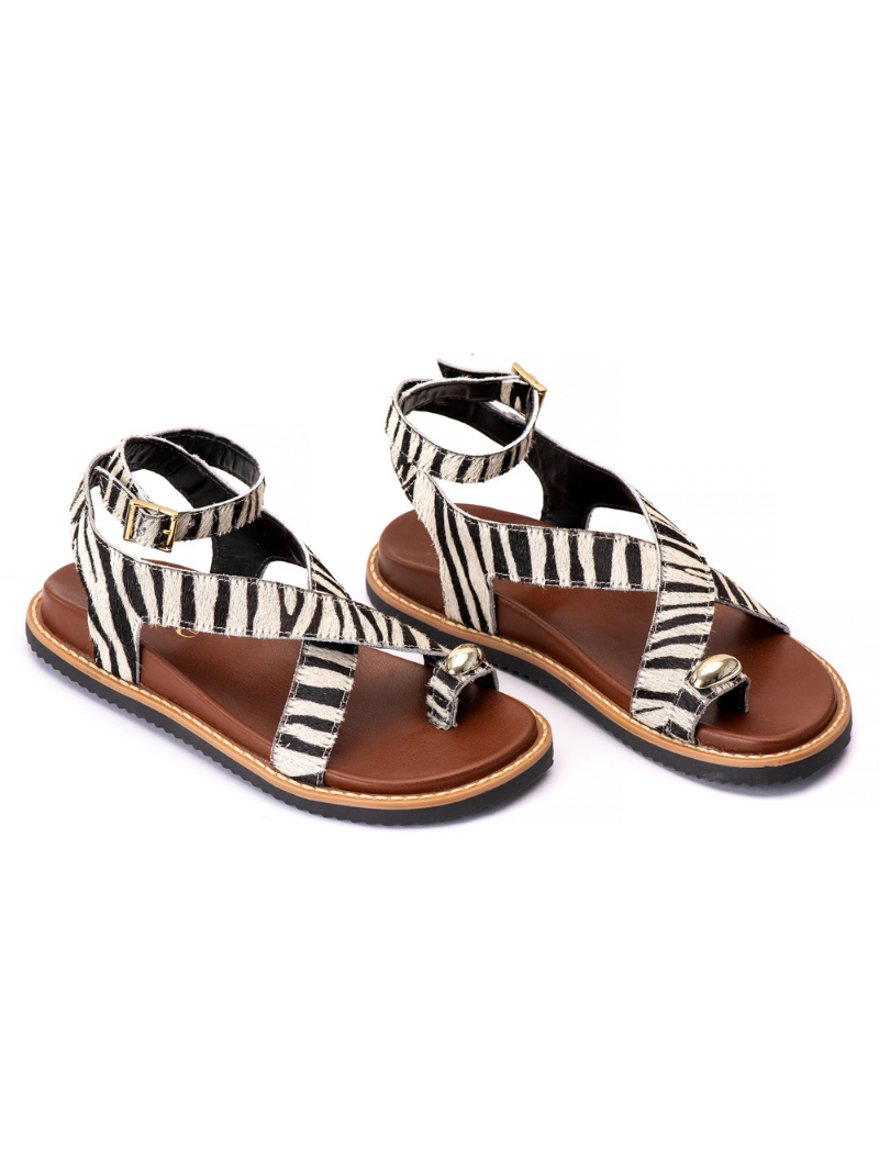 EMMA ZEBRA