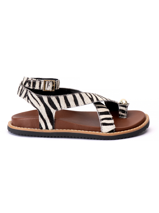 EMMA ZEBRA